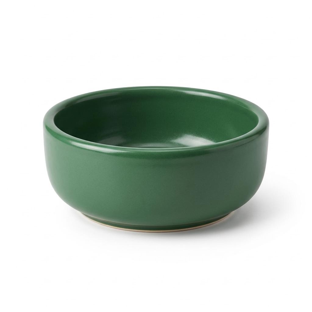 Ceramic Bowl for Pets — Standard product photo