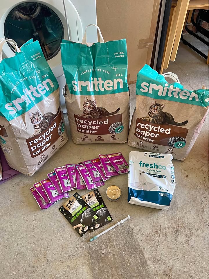 Cat Litter & Essentials Bundle product photo