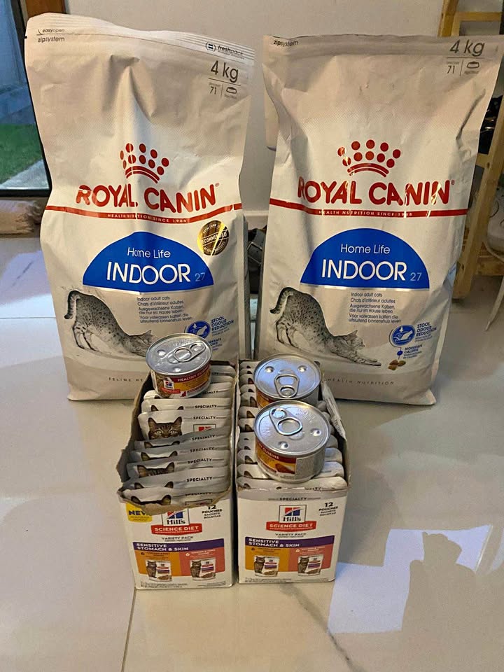Cat Wet & Dry Food Bundle product photo