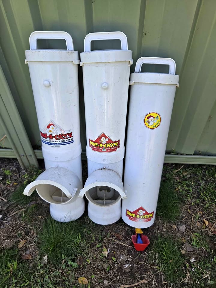 Dine-A-Chook Feeders and Drinker product photo