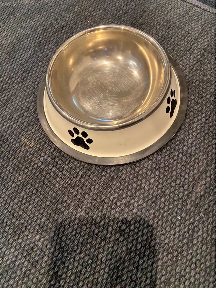 Paw-Print Stainless Steel Pet Bowl product photo