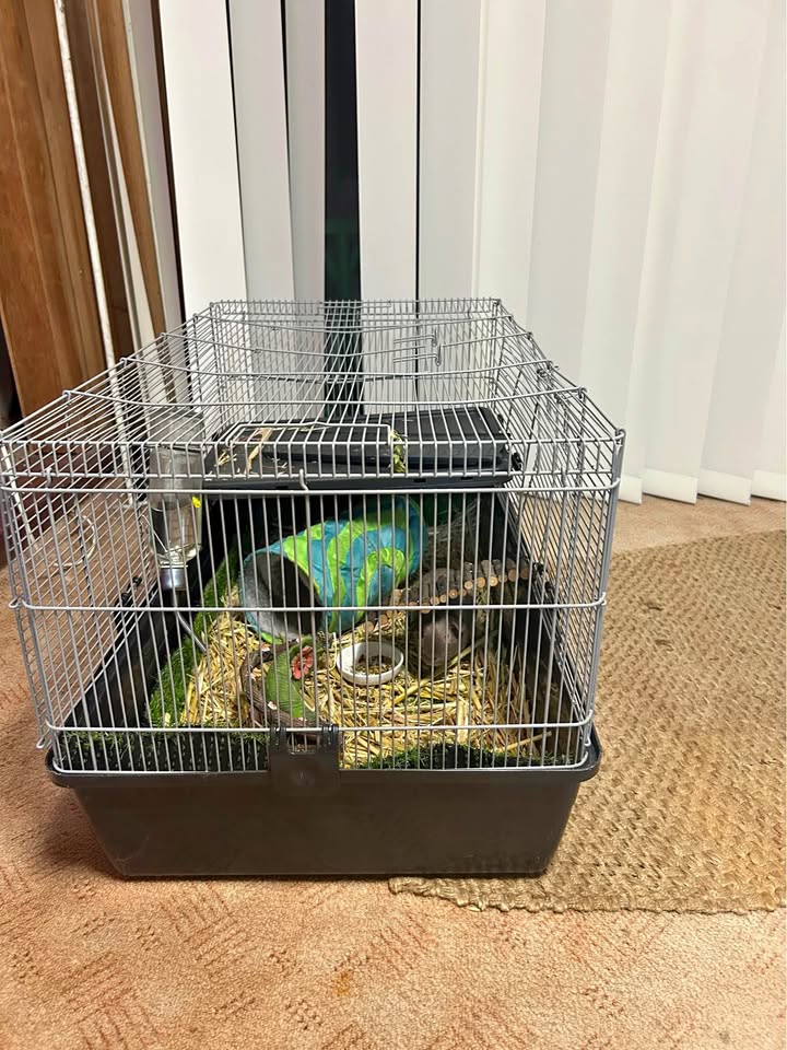 Pet Cage with Bottle Feeder product photo