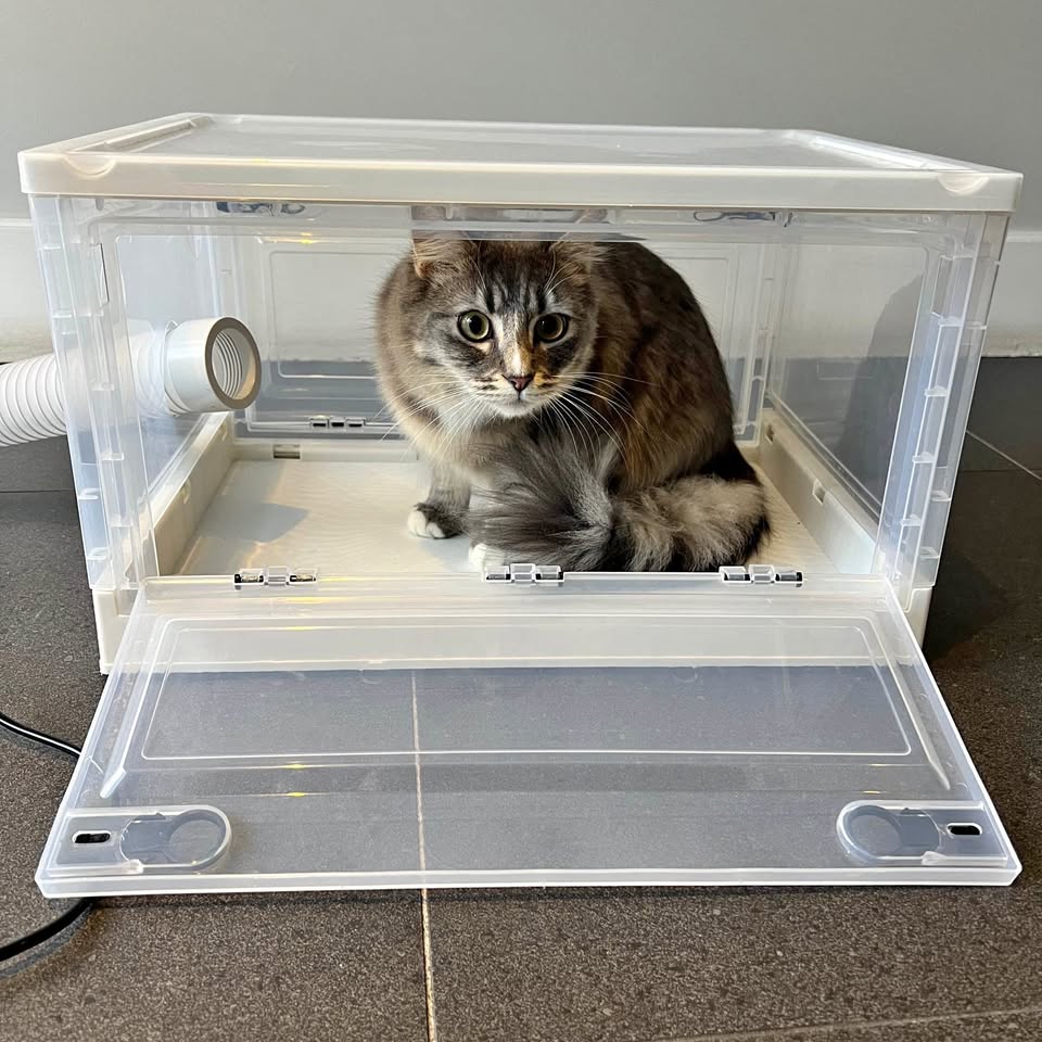 Portable Pet Dryer Box product photo