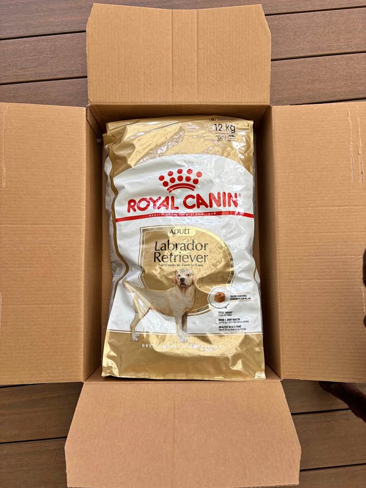 Royal Canin Labrador Retriever Adult Dog Food 12kg product photo