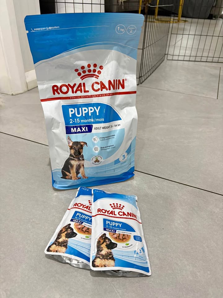 Royal Canin Maxi Puppy Food Set product photo