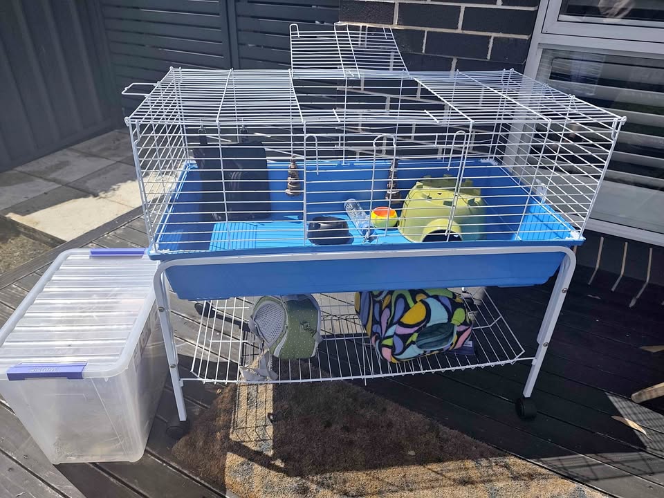Small Animal Hutch product photo