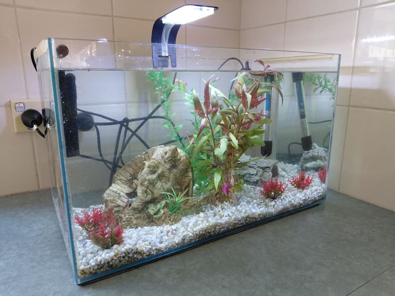 Aquarium and accessory bundle product photo