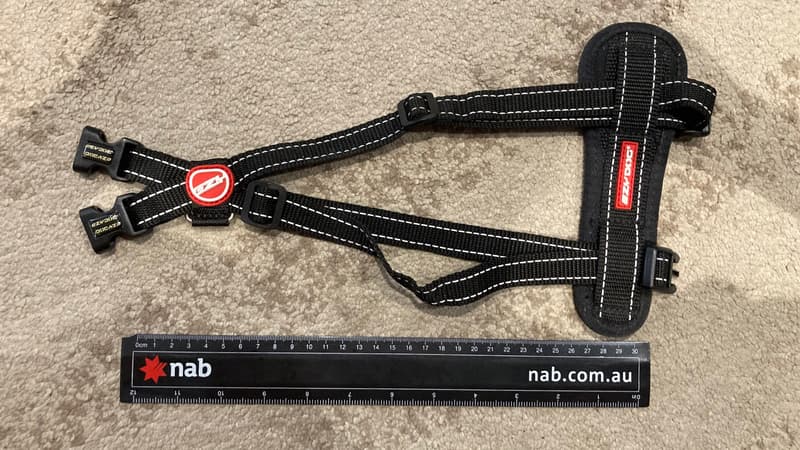 Black dog harness product photo