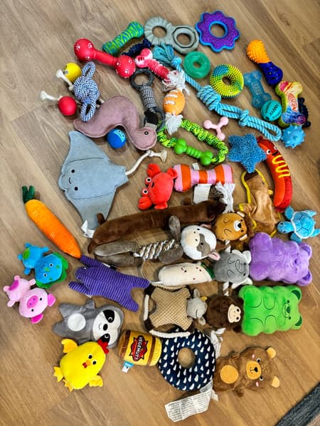 Dog and puppy toy bundle — proposed 50+ pieces product photo