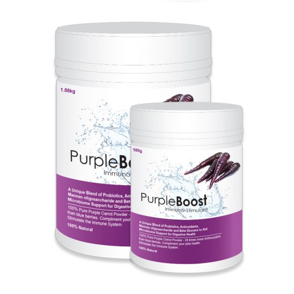 LifeWise Purple Boost product photo
