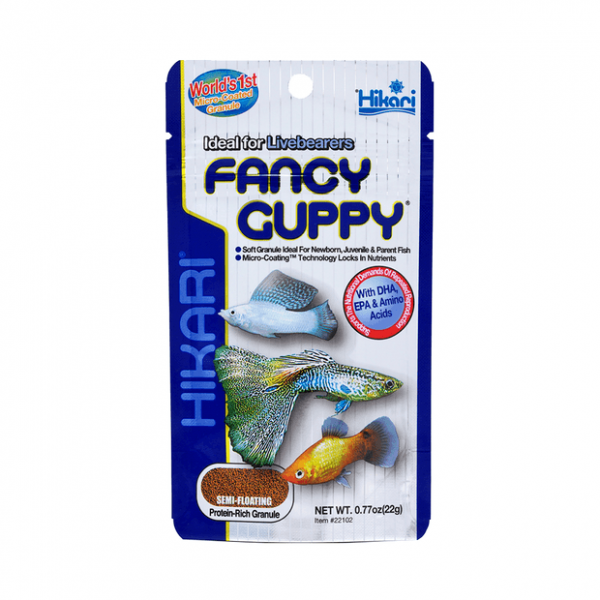 Hikari Fancy Guppy product photo