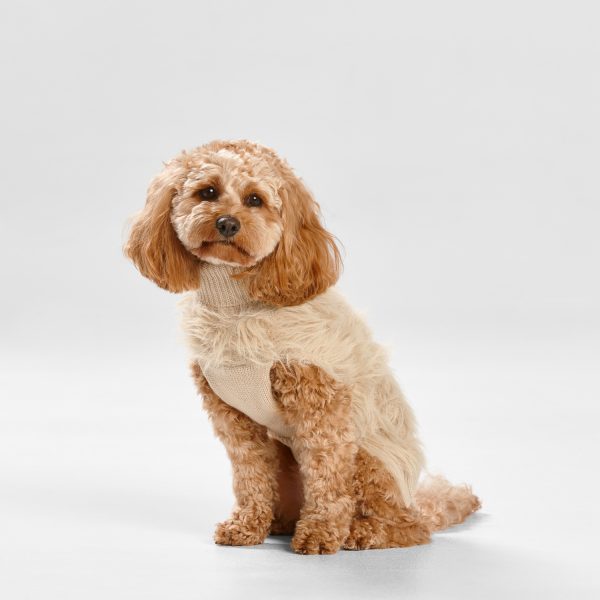 Snooza Wear Fur Knit Jumper in Ecru product photo