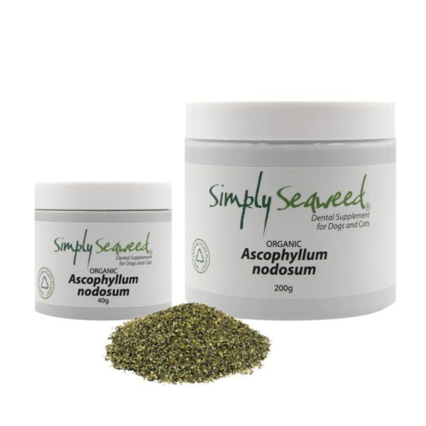 Simply Seaweed Dental Supplement product photo